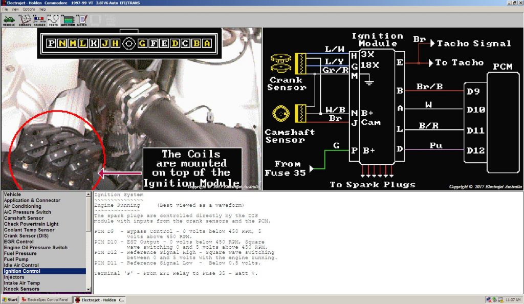 VT commodore DFI module wiring diagram | P & G Motors engine light wiring harness 